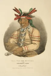 Caa-taa-ke Mung-ga oder der Gefleckte Eistaucher